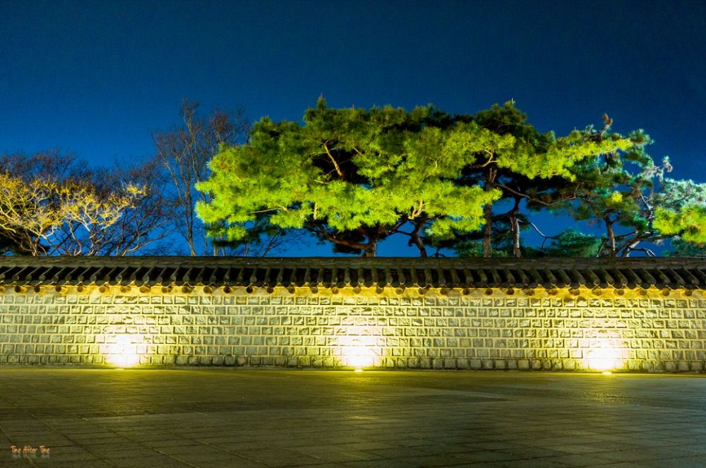 전주 한옥마을 사진 6