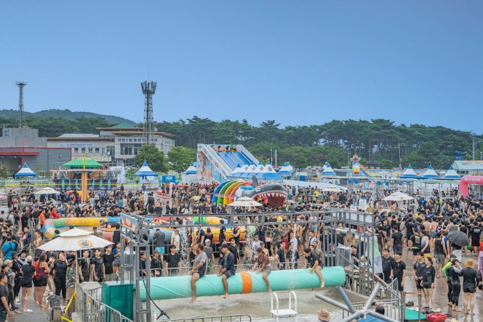 보령머드축제 사진 5