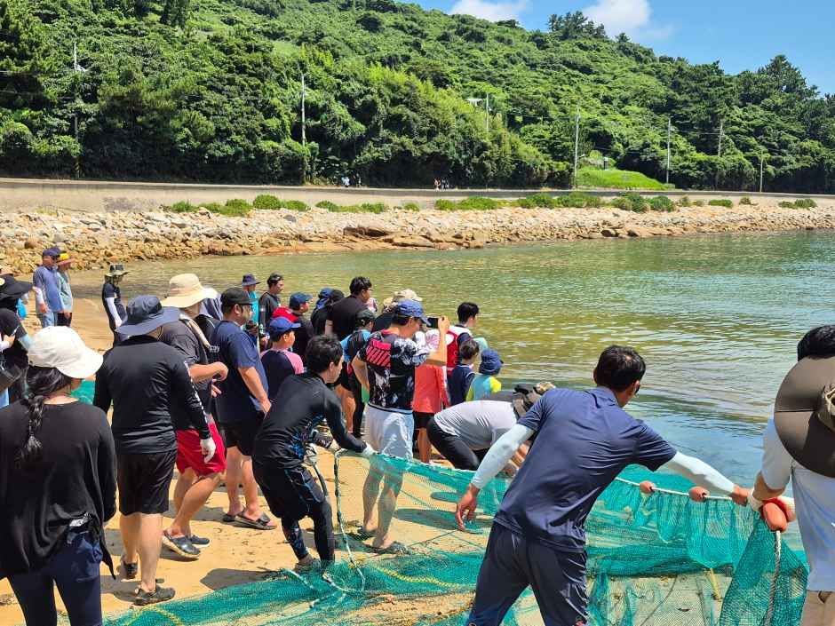 거문도백도 은빛바다 체험행사 사진 2