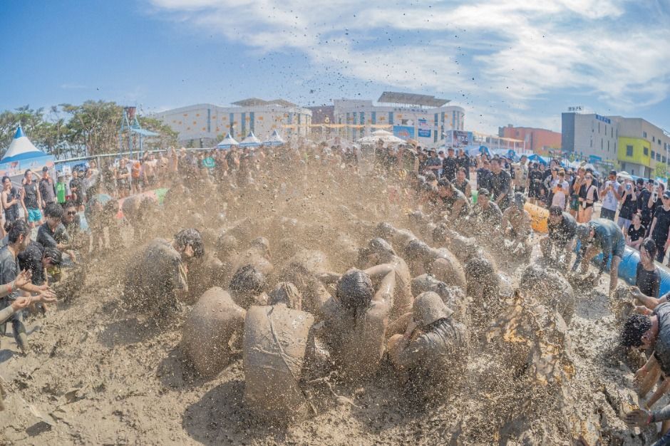 보령머드축제 사진 3
