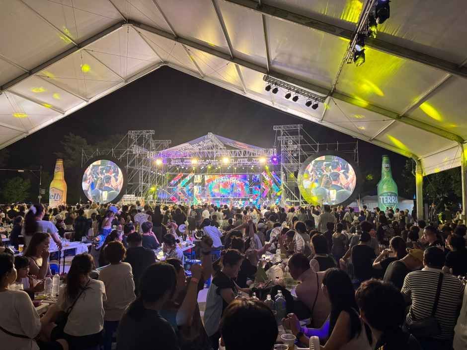 홍천강별빛음악맥주축제 사진 2