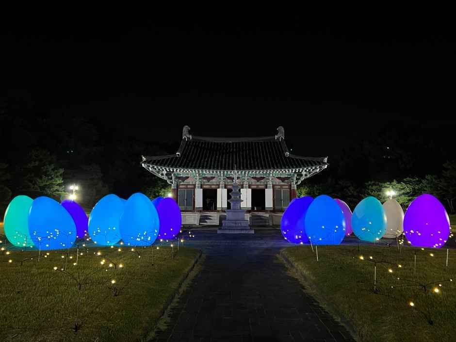 직지문화축제