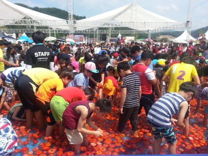 둔내 고랭지 토마토 축제 사진 2