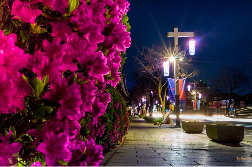 전주 한옥마을 사진 9