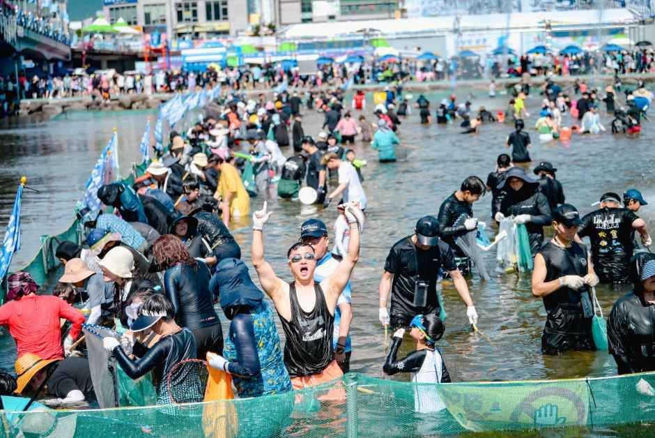 정남진장흥물축제 사진 2