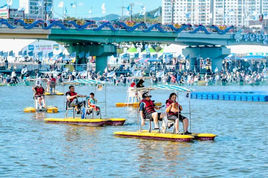 정남진장흥물축제 사진 1
