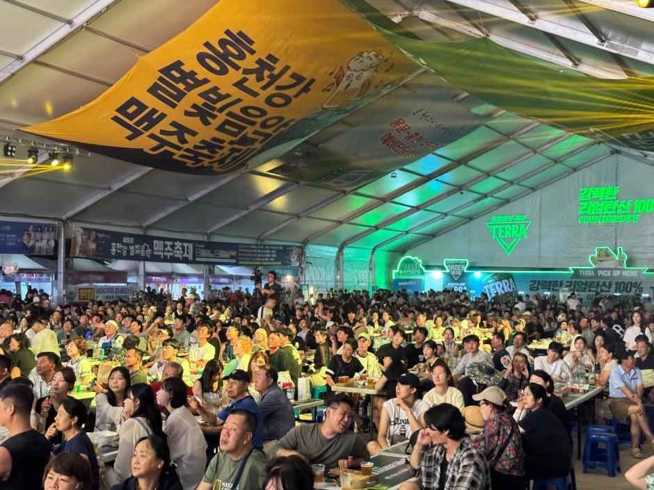 홍천강별빛음악맥주축제 사진 5